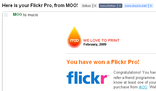 flickr moo