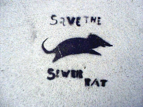 savethesewerrat.jpg